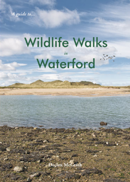 A Guide to Wildlife Walks In Waterford